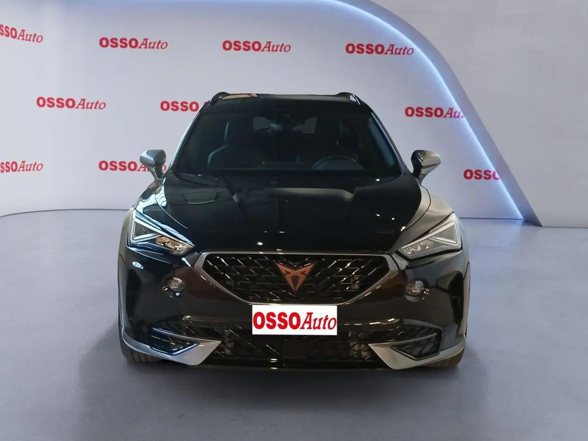Cupra Formentor usata a Udine (5)