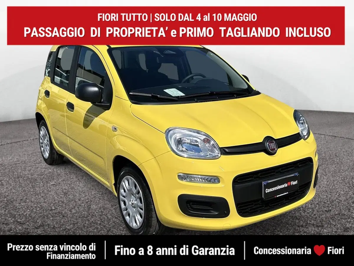 Fiat Pandina nuova a Roma (2)
