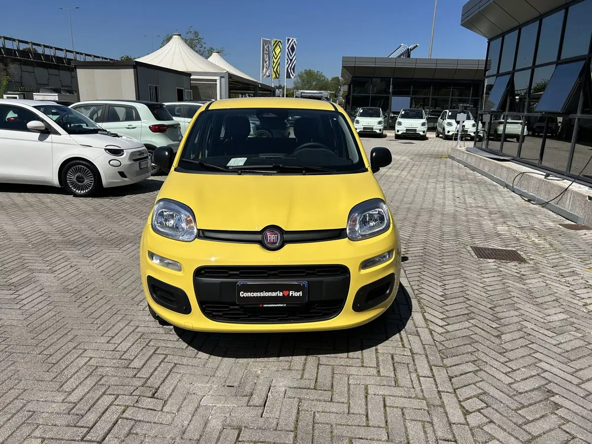 Fiat Pandina nuova a Roma (7)