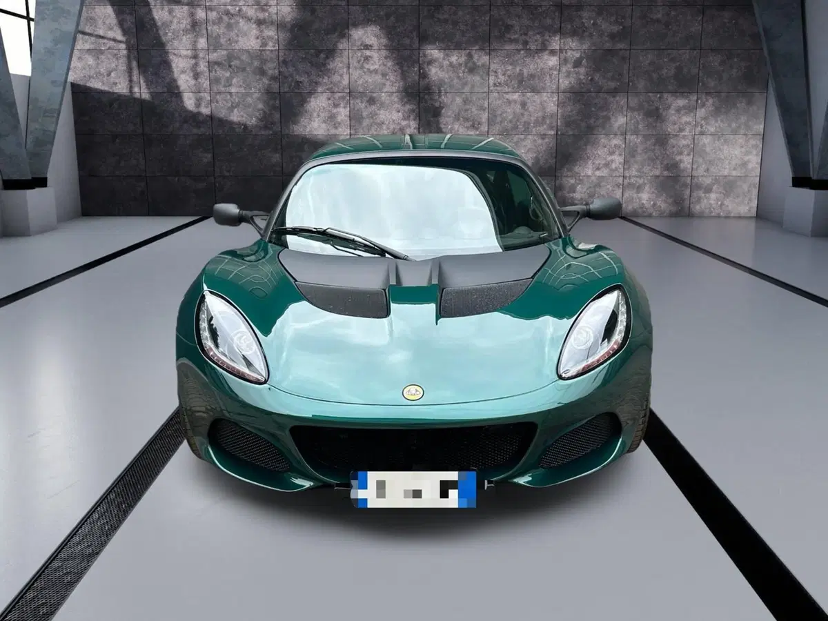 Lotus Elise usata a Novara (2)