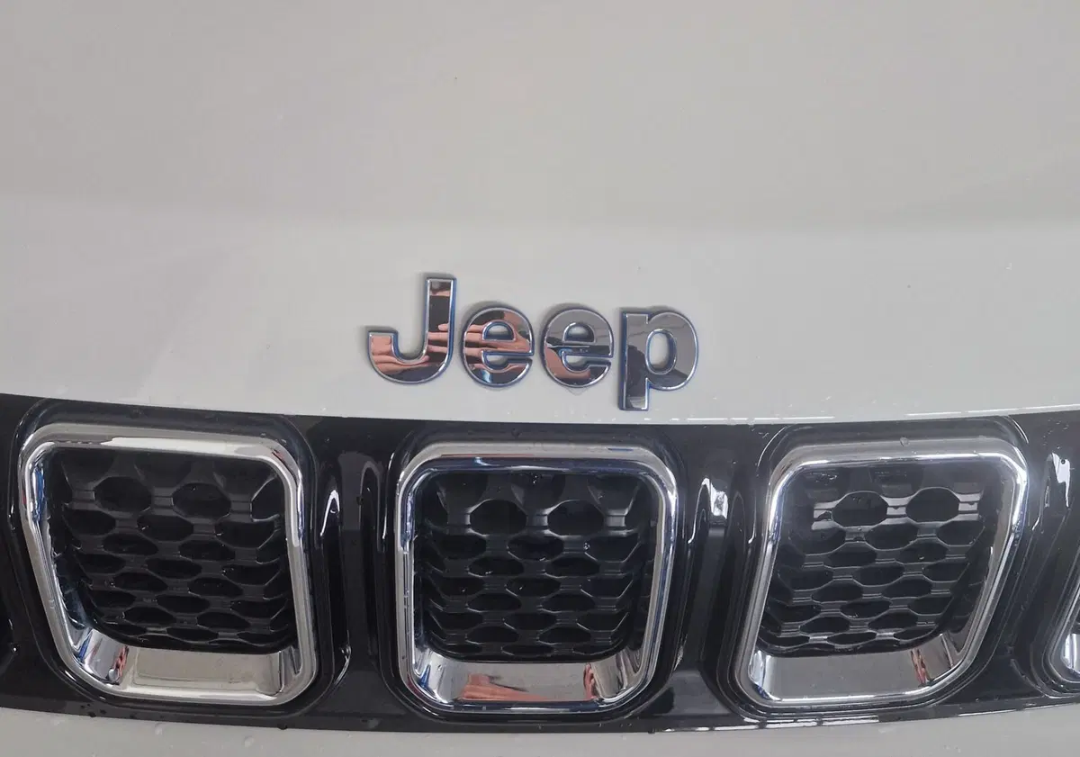 Jeep Compass usata a Terni (20)