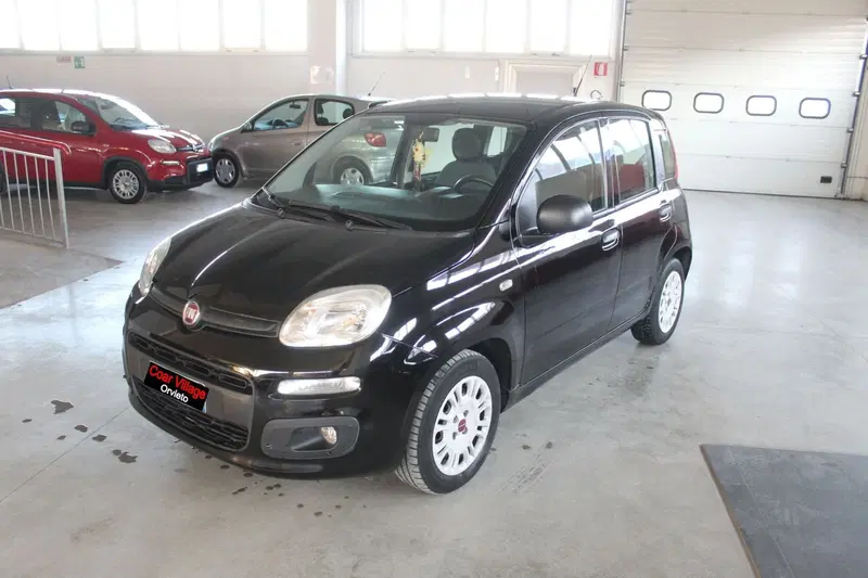 Fiat Panda usata a Terni
