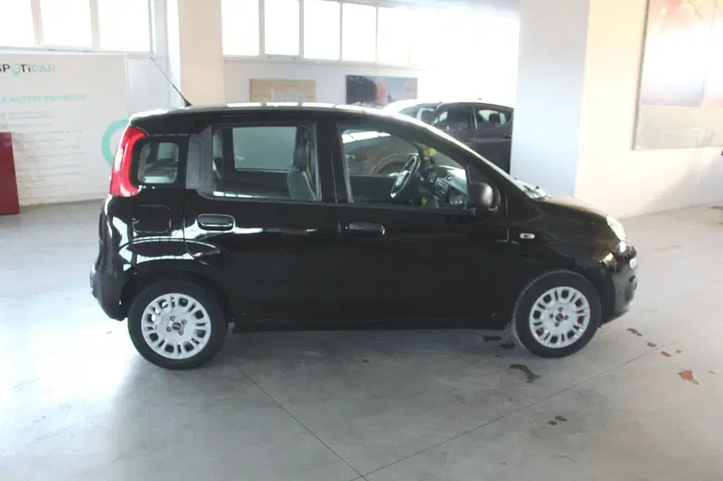 Fiat Panda usata a Terni (3)