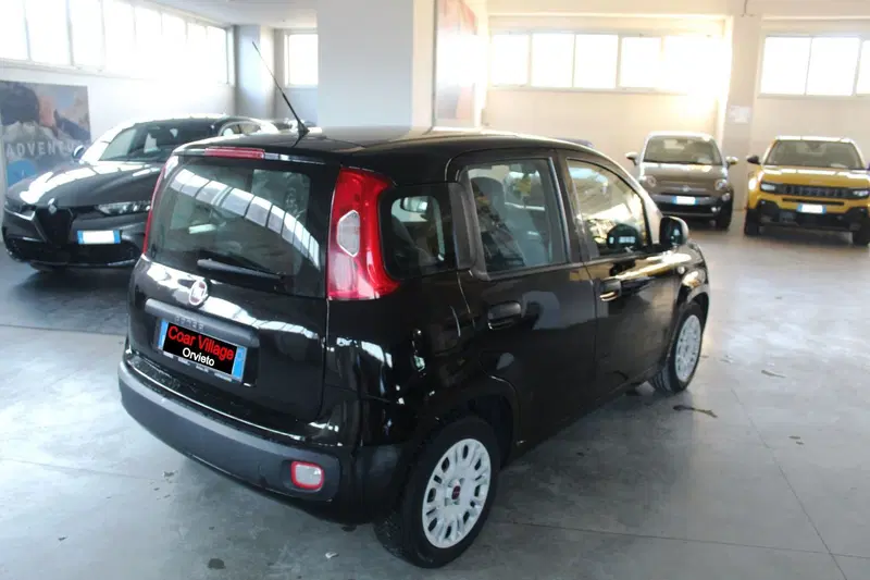 Fiat Panda usata a Terni (4)