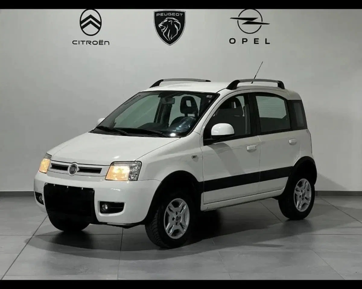 Fiat Panda usata a Alessandria