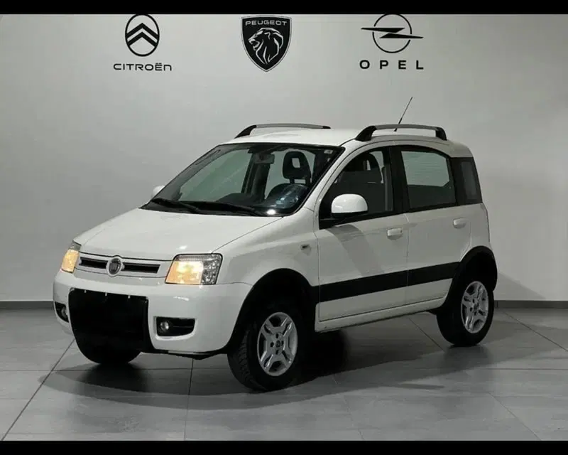 Fiat Panda usata a Alessandria