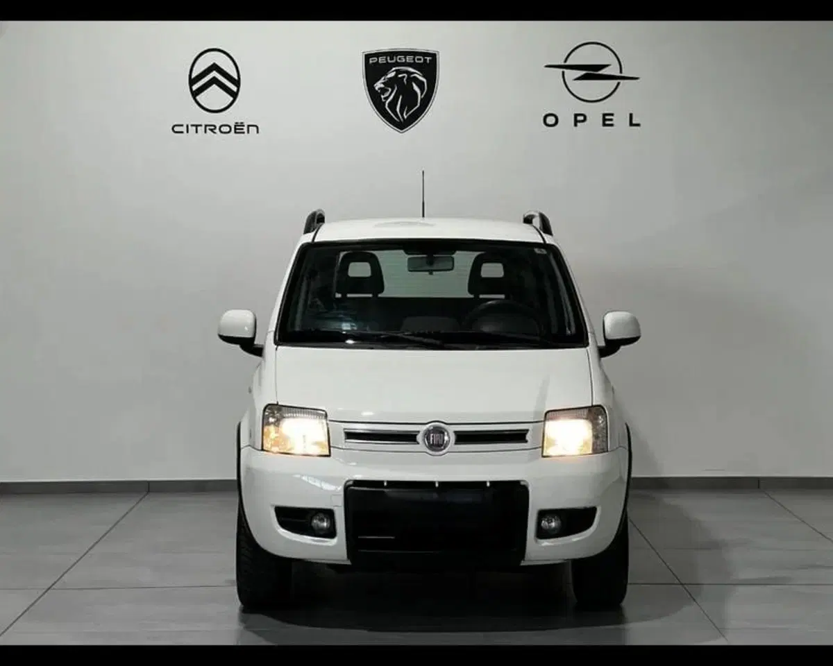 Fiat Panda usata a Alessandria (2)