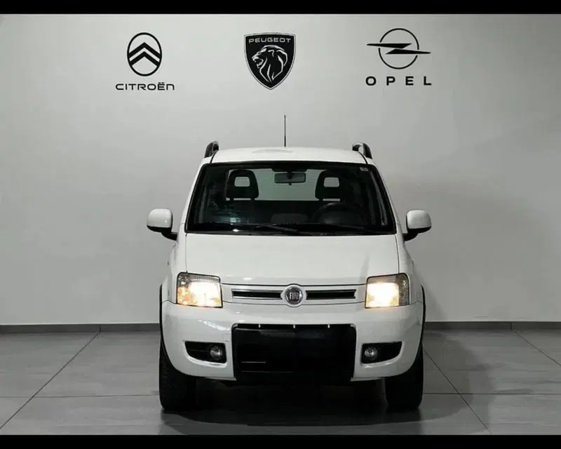 Fiat Panda usata a Alessandria (2)