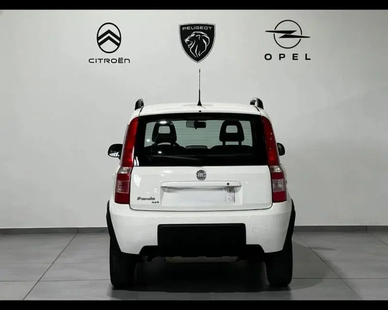 Fiat Panda usata a Alessandria (4)