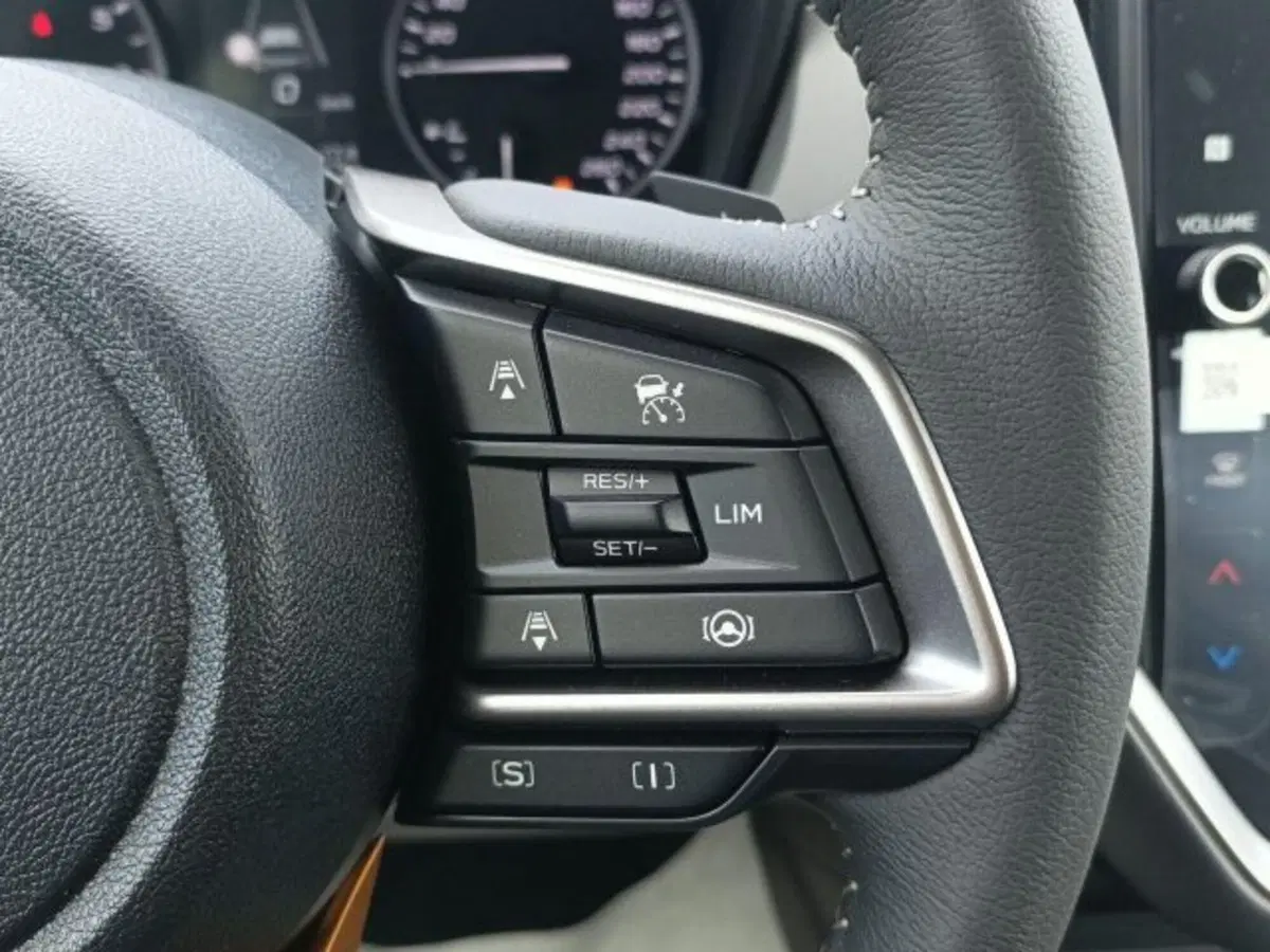Subaru Crosstrek nuova a Novara (11)