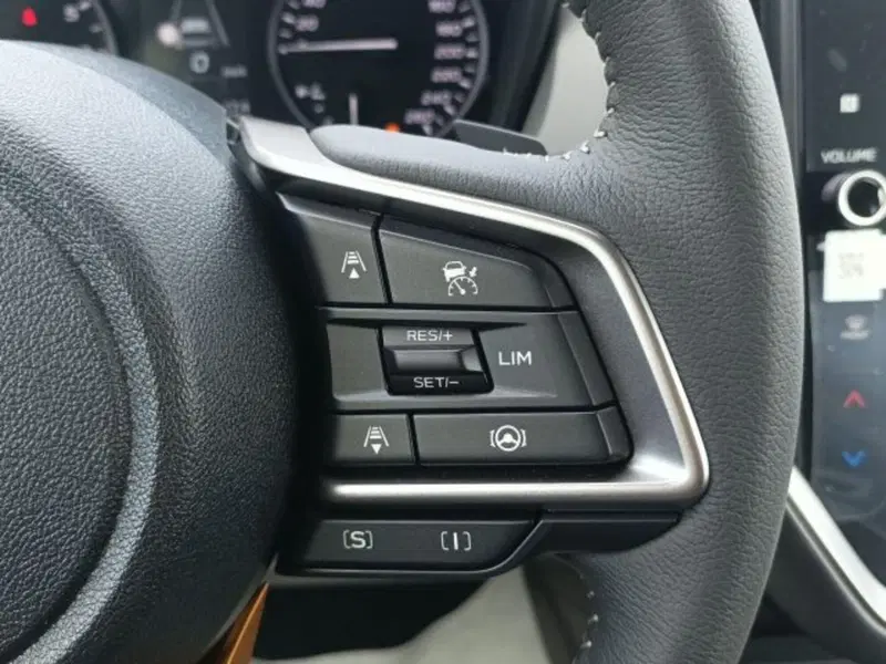 Subaru Crosstrek nuova a Novara (11)