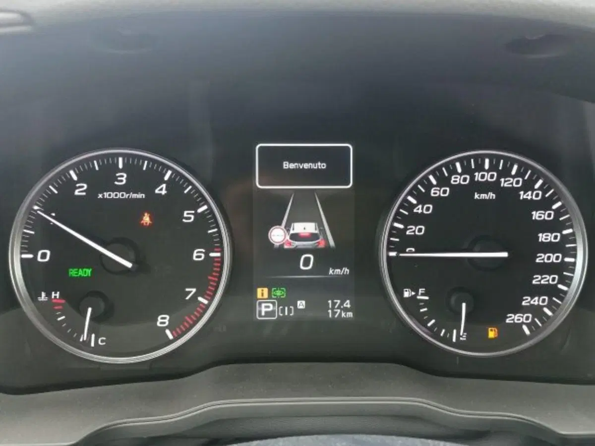 Subaru Crosstrek nuova a Novara (14)