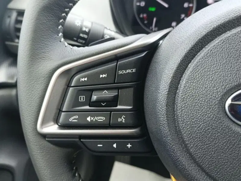 Subaru Crosstrek nuova a Novara (9)