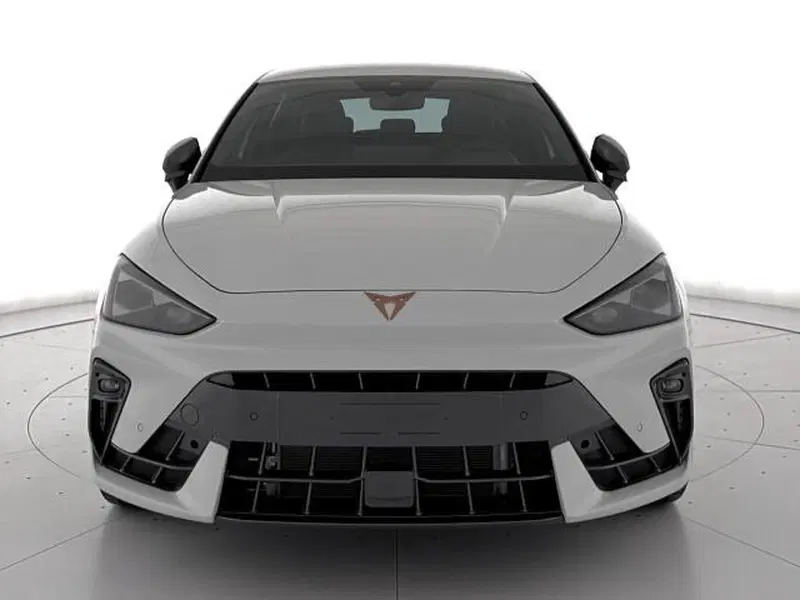Cupra Leon usata a Vicenza (2)