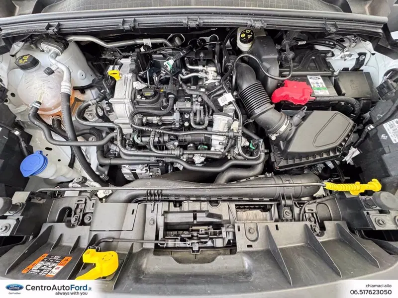 Ford Puma usata a Roma (11)