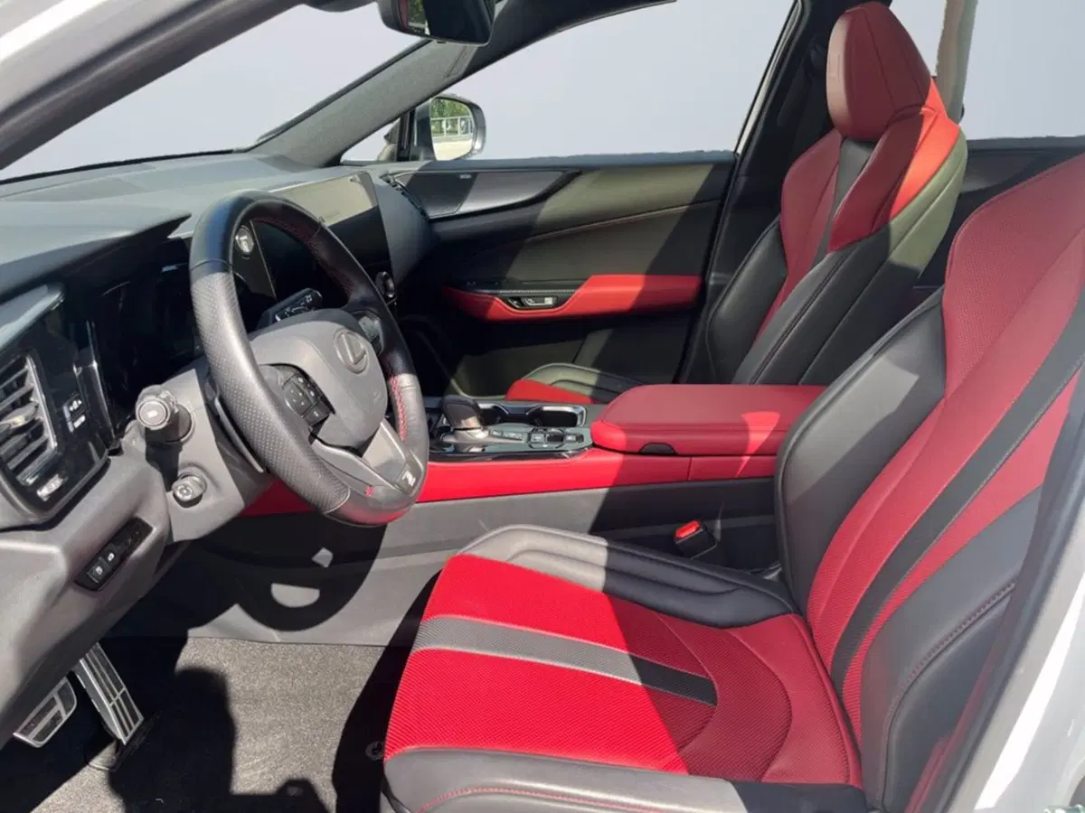 Lexus NX usata a Milano (10)
