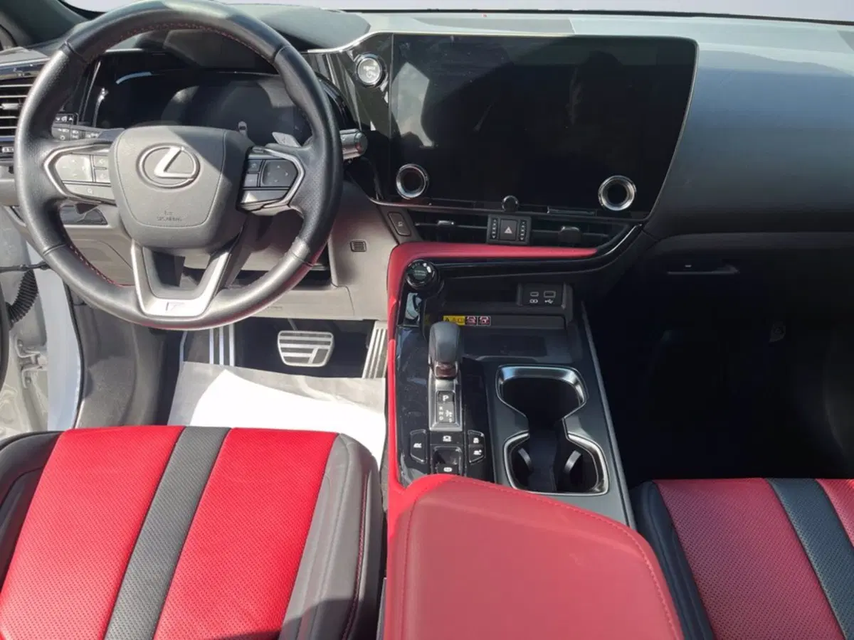 Lexus NX usata a Milano (11)