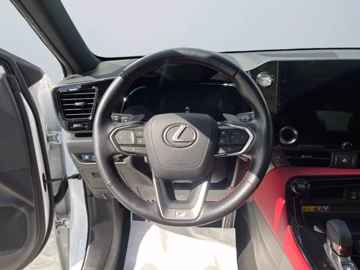 Lexus NX usata a Milano (13)