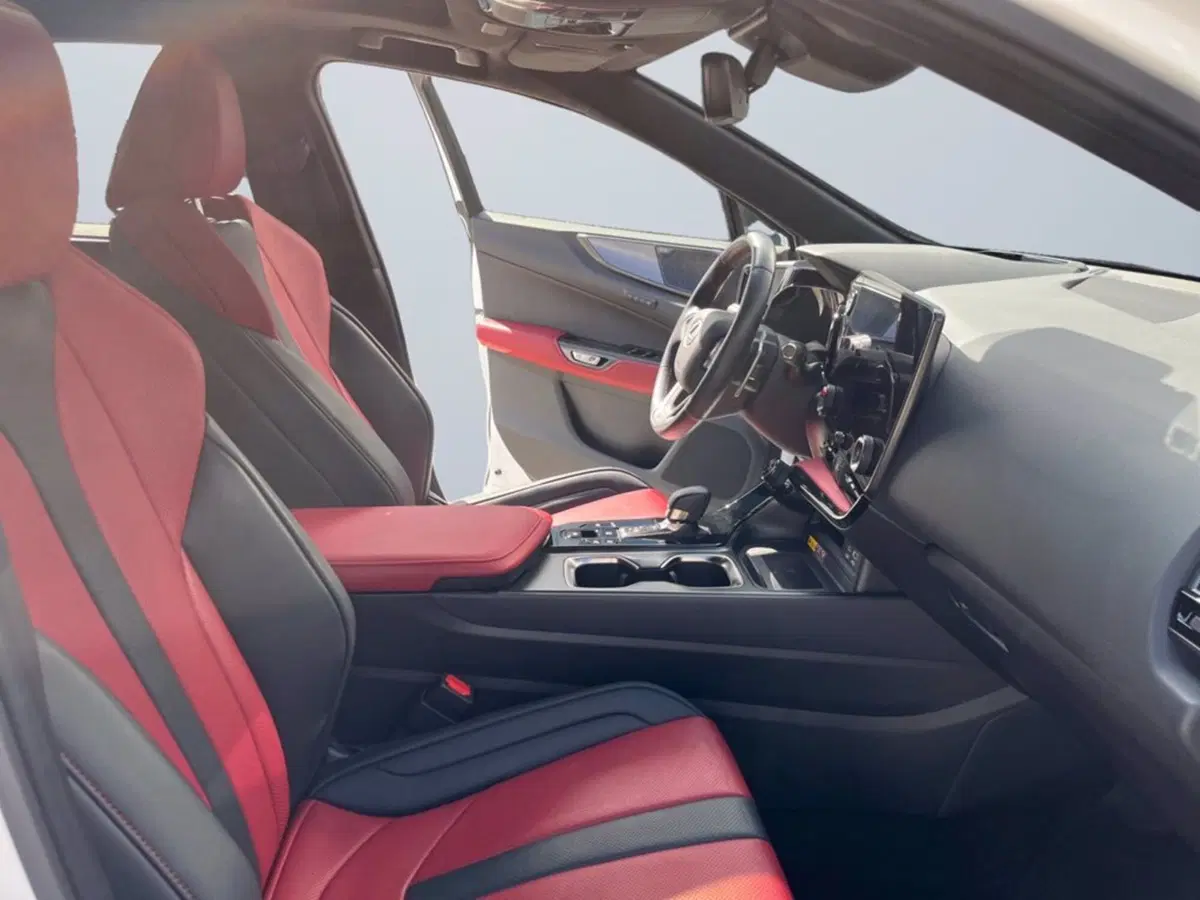 Lexus NX usata a Milano (15)