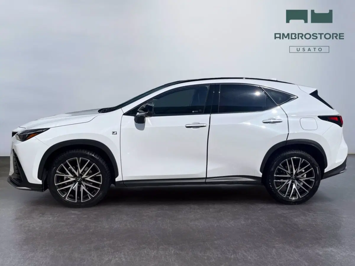 Lexus NX usata a Milano (2)
