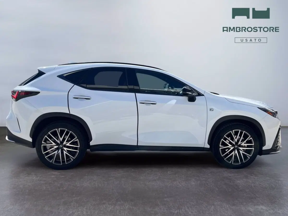 Lexus NX usata a Milano (6)