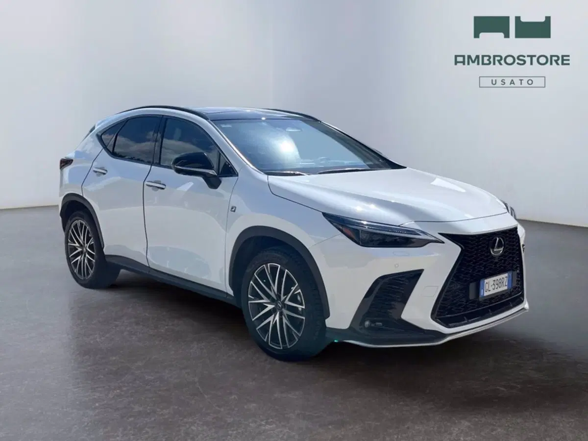 Lexus NX usata a Milano (7)