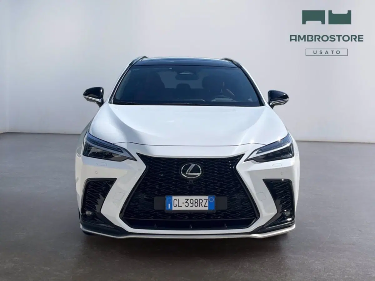 Lexus NX usata a Milano (8)