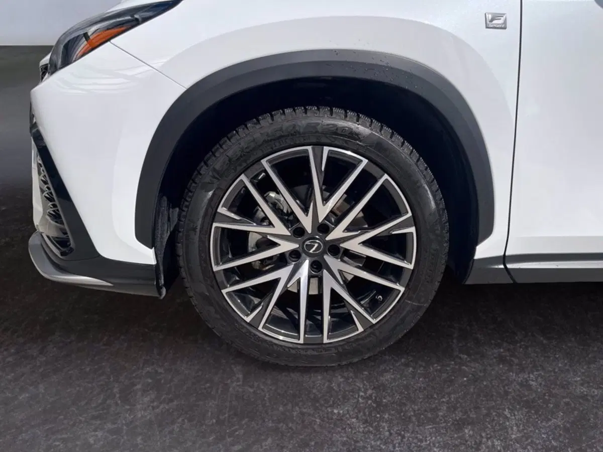 Lexus NX usata a Milano (9)