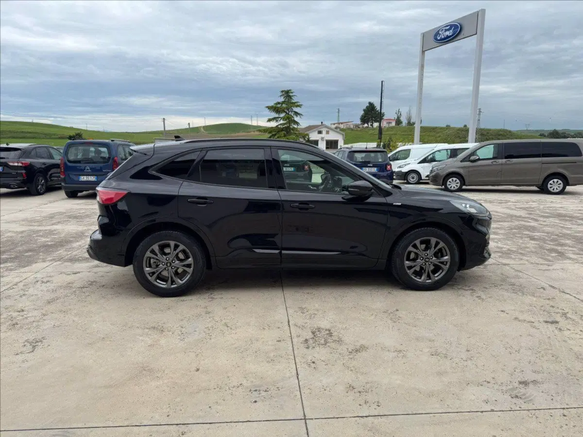Ford Kuga usata a Matera (7)