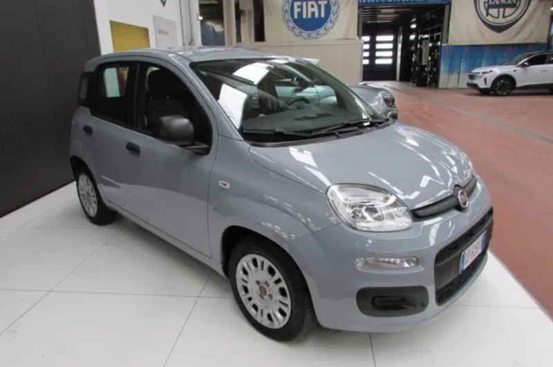 Fiat Panda usata a Milano (2)