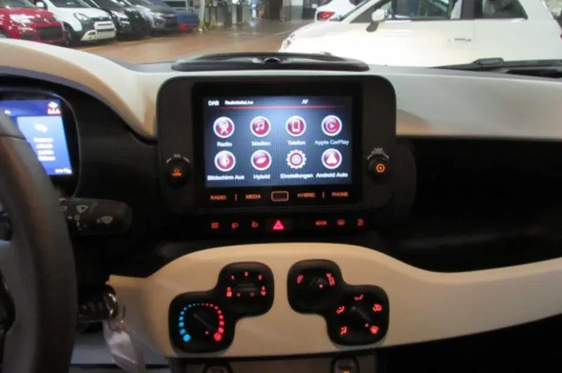 Fiat Panda Cross usata a Milano (8)