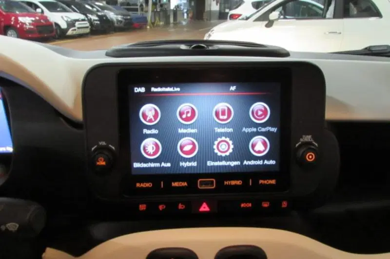 Fiat Panda Cross usata a Milano (9)