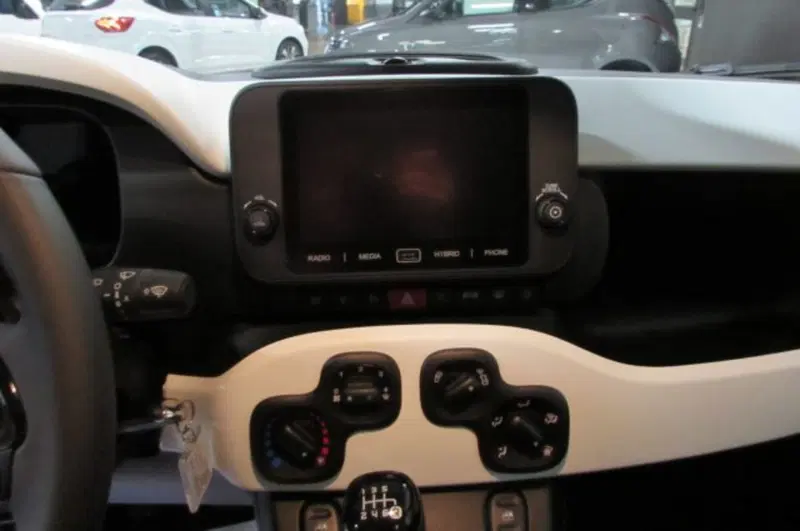 Fiat Panda Cross usata a Milano (8)