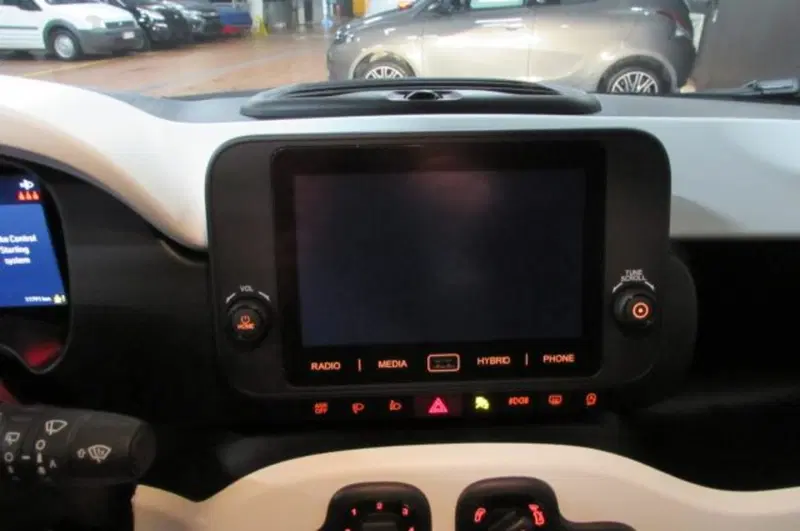 Fiat Panda Cross usata a Milano (9)