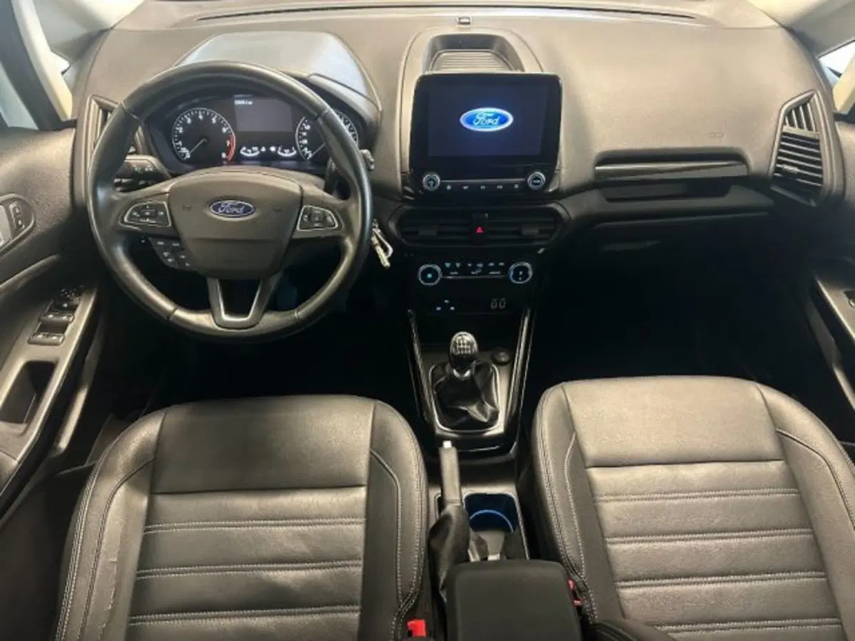 Ford EcoSport usata a Cuneo (10)