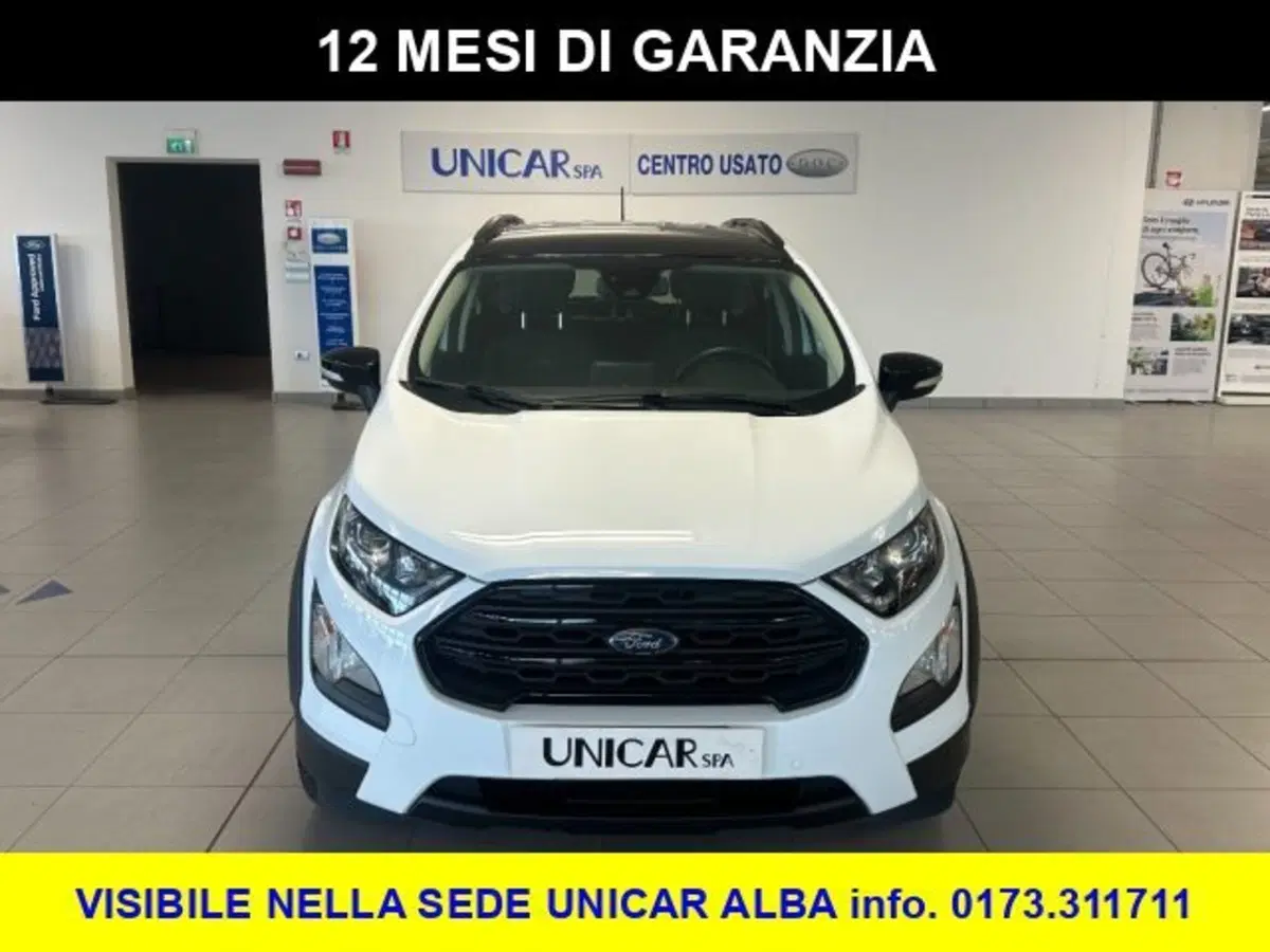 Ford EcoSport usata a Cuneo (3)