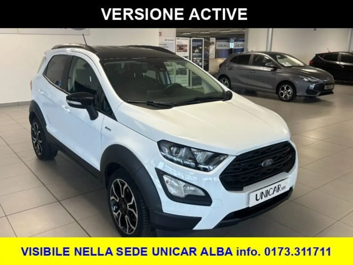 Ford EcoSport usata a Cuneo (2)