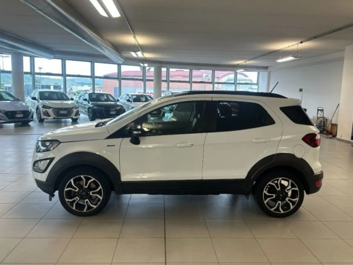 Ford EcoSport usata a Cuneo (4)