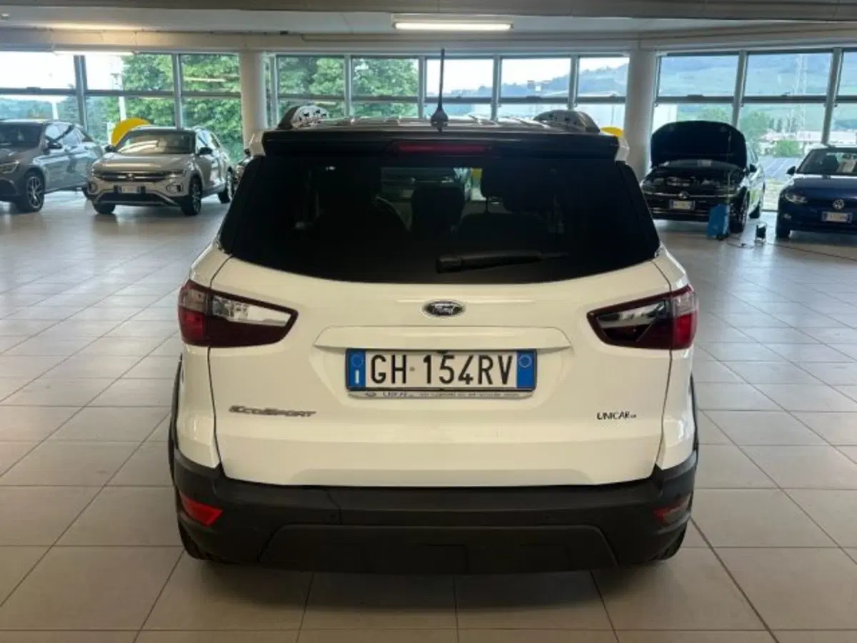 Ford EcoSport usata a Cuneo (6)