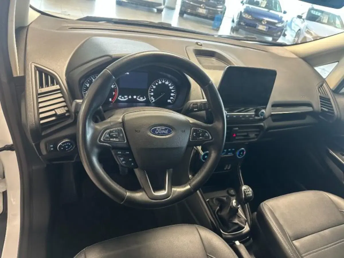 Ford EcoSport usata a Cuneo (9)