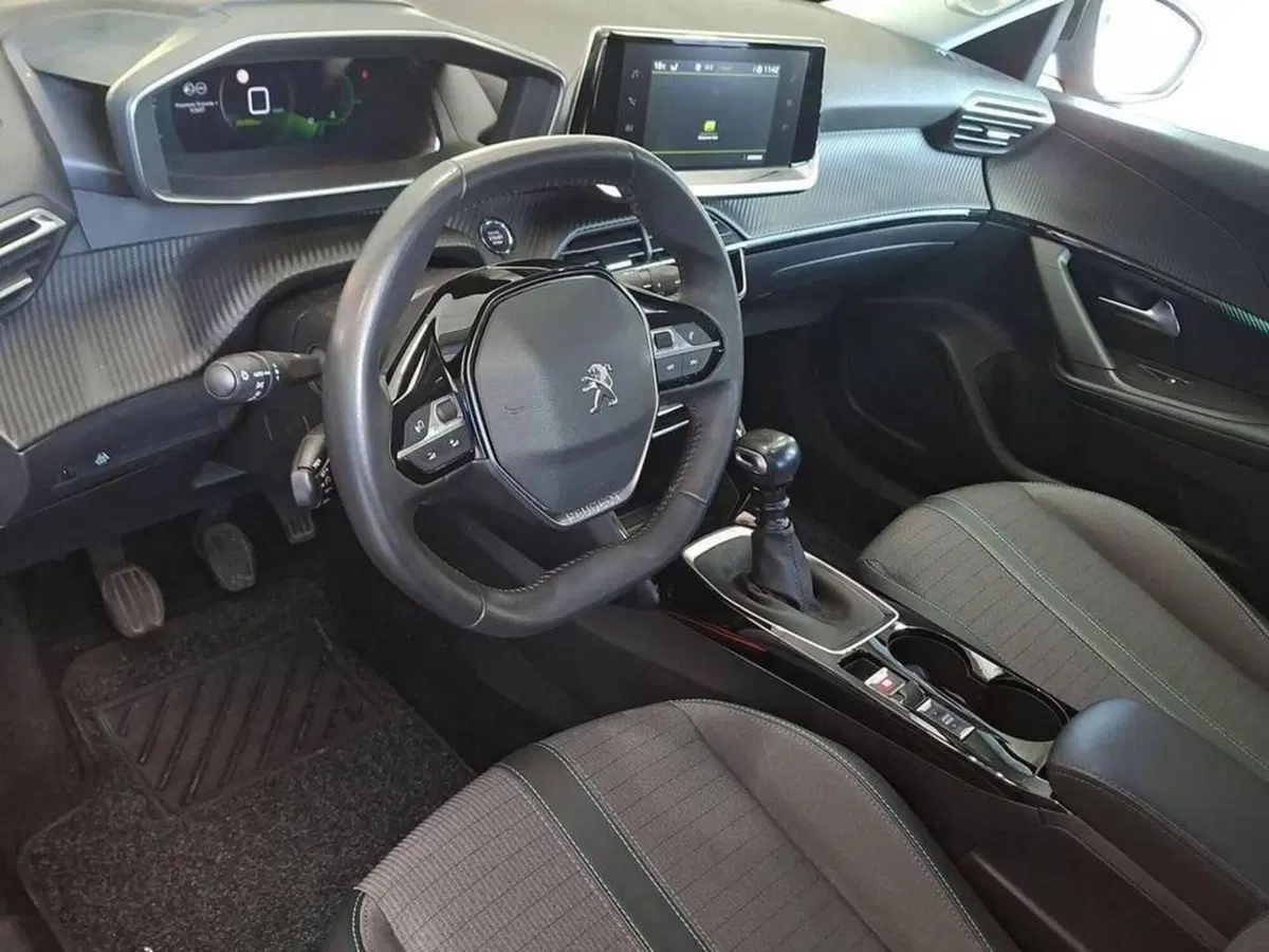 Peugeot 2008 usata a Torino (12)