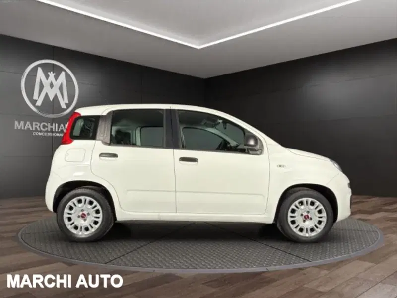 Fiat Panda usata a Perugia (4)