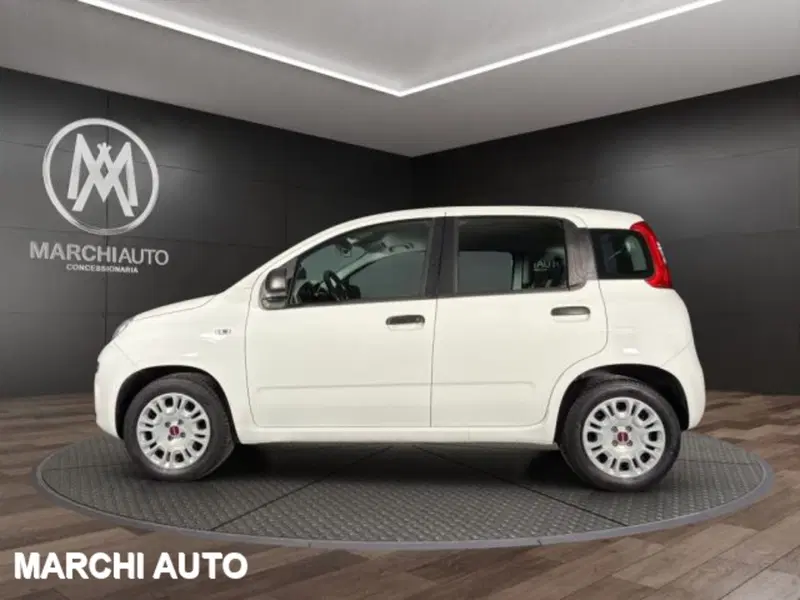 Fiat Panda usata a Perugia (8)