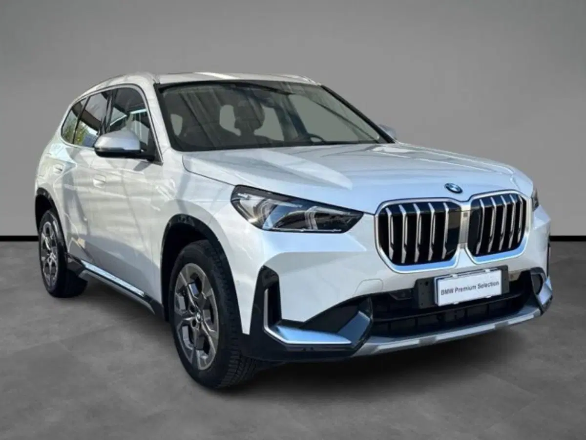 BMW X1 usata a Verona (15)