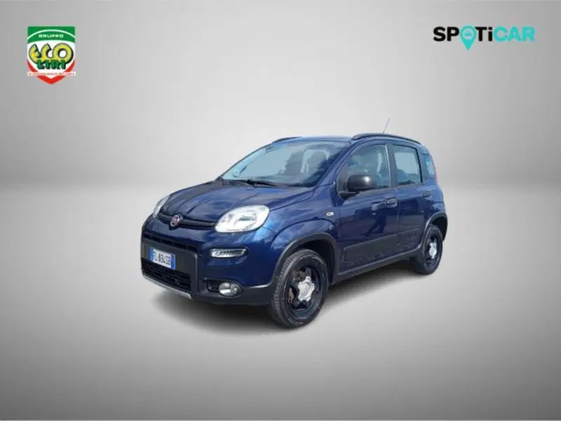 Fiat Panda Cross usata a Frosinone