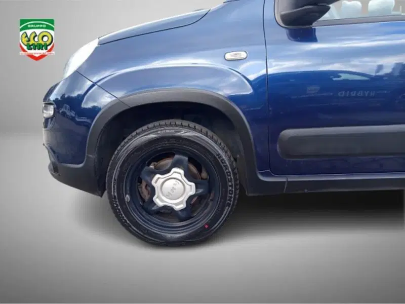 Fiat Panda Cross usata a Frosinone (16)