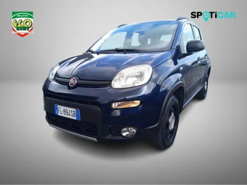 Fiat Panda Cross usata a Frosinone (17)