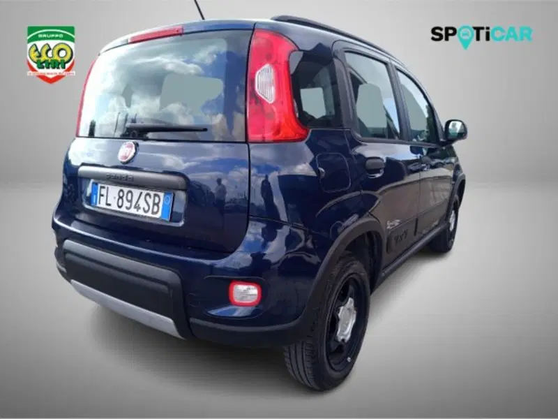 Fiat Panda Cross usata a Frosinone (18)