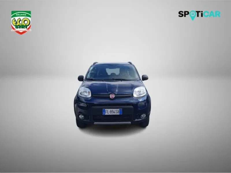 Fiat Panda Cross usata a Frosinone (2)