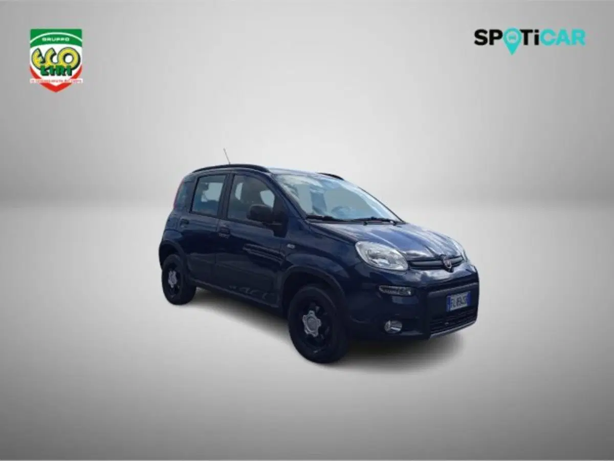 Fiat Panda Cross usata a Frosinone (3)